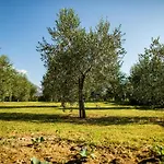 Agriturismo Casa di Campagna