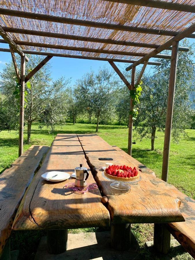Agriturismo Casa di Campagna