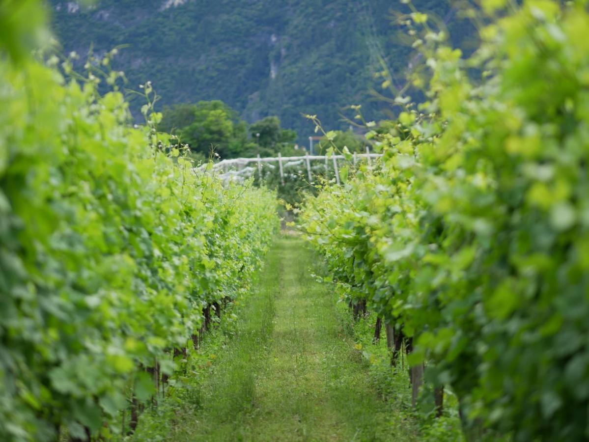 Agriturismo Casa di Campagna * Riva del Garda