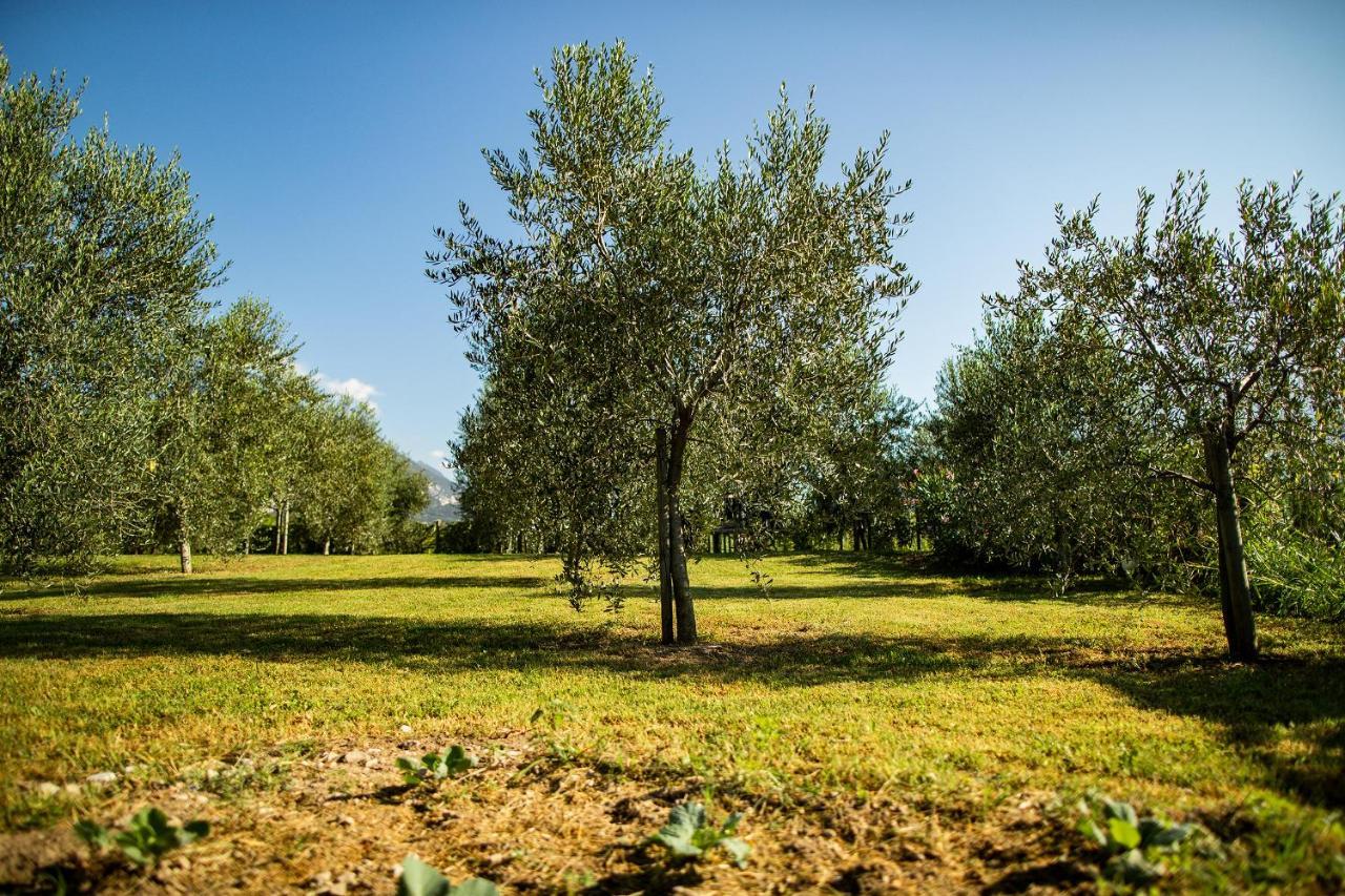 Agriturismo Casa di Campagna Alloggio per agriturismo *
