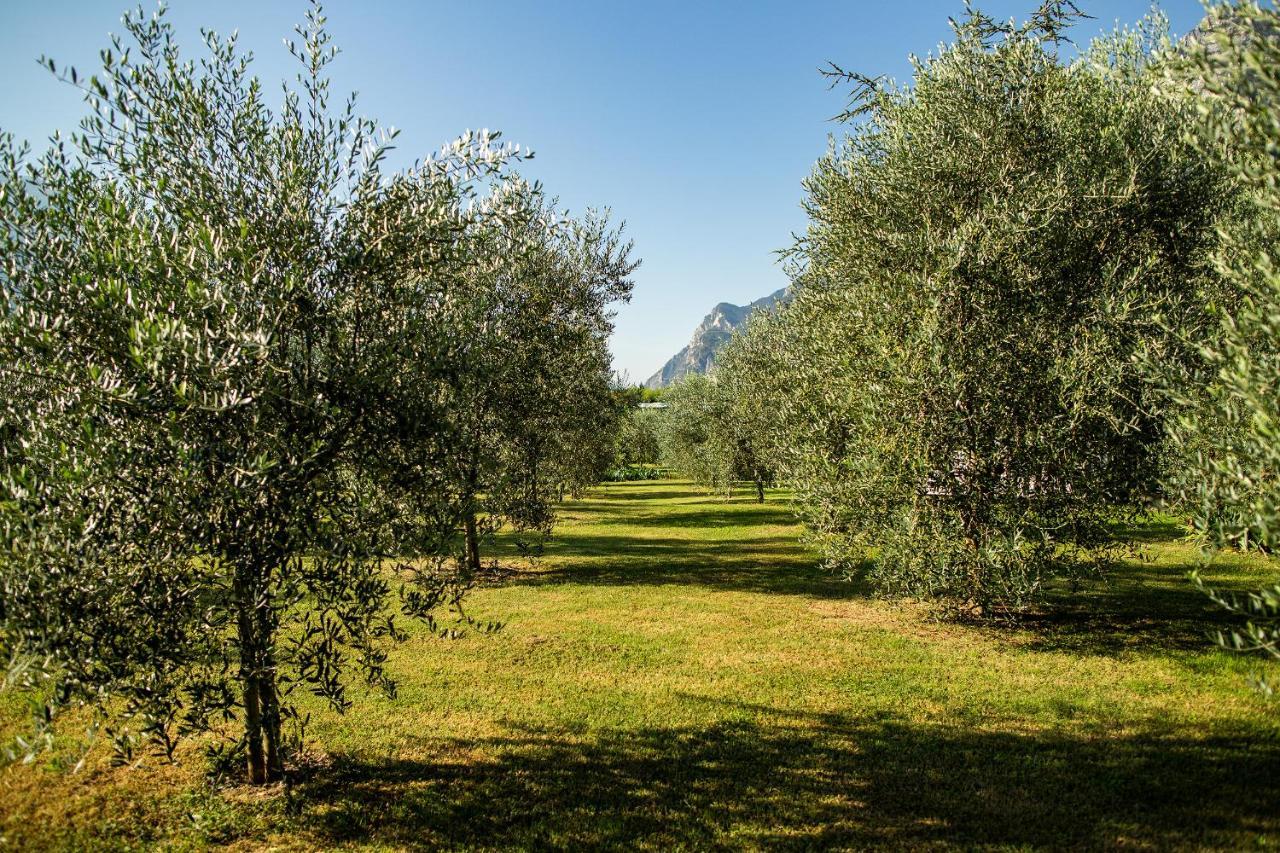Agriturismo Casa di Campagna *
