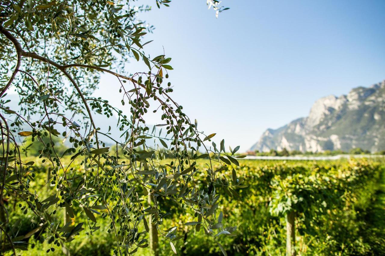 Agriturismo Casa di Campagna Alloggio per agriturismo *