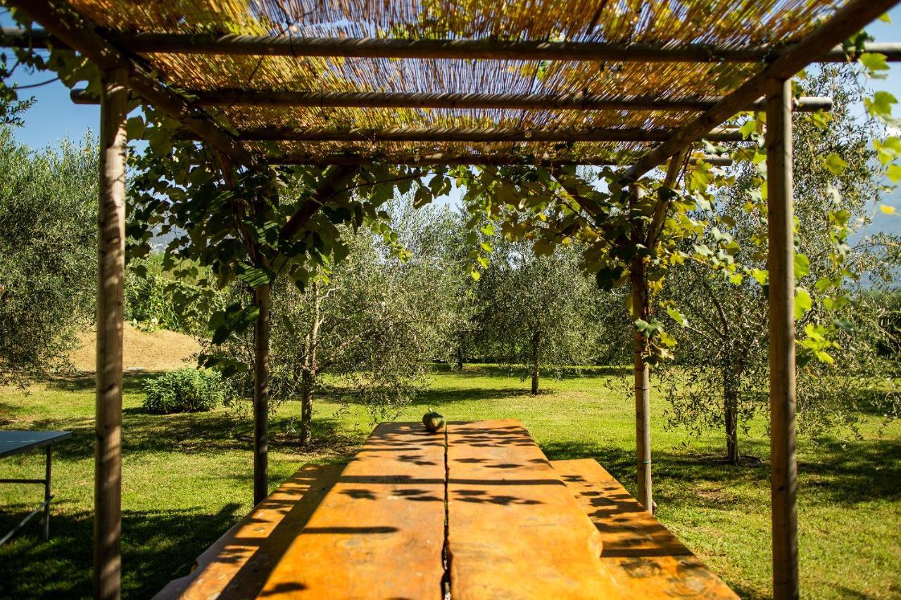 Alloggio per agriturismo Agriturismo Casa di Campagna *